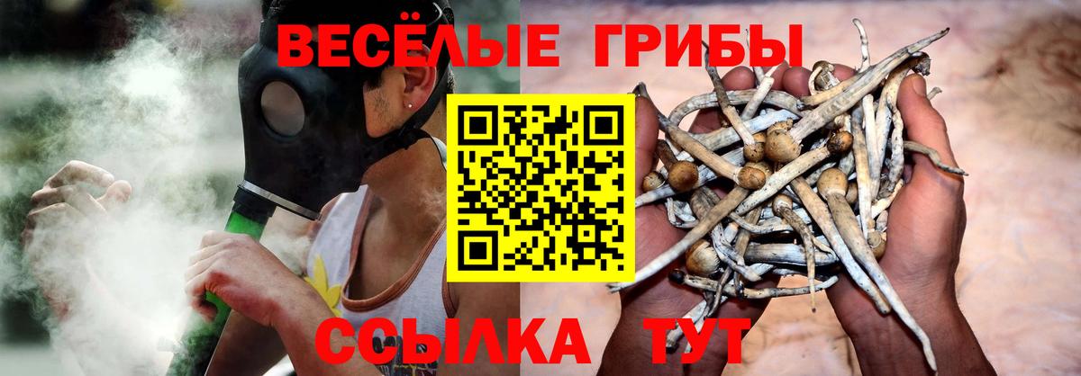 Кинель  цена наркотик  Вход с VPN  Псилоцибиновые грибы мухоморы  Псилоцибиновые грибы Magic Shrooms 